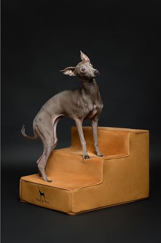 Escalier pour animaux en cuir Noah & Paw avec mousse haute performance extra large pour canapé