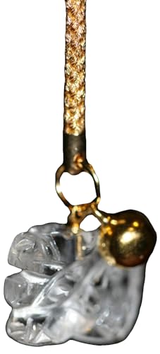 { 蒤 x Xgbvzp t Â xl` zobN (C)