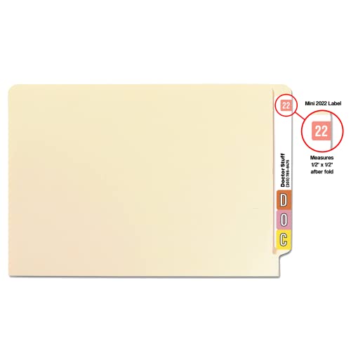 Doctor Stuff - 2022 Year Stickers, Compatible With Smead Ets Series, Pink Colored Year Labels For End Tab File Folders, 250/Pack, 1 Package, 1/2" X 1" - Small Labels #TOP2