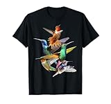 Hummingbird in Flight...