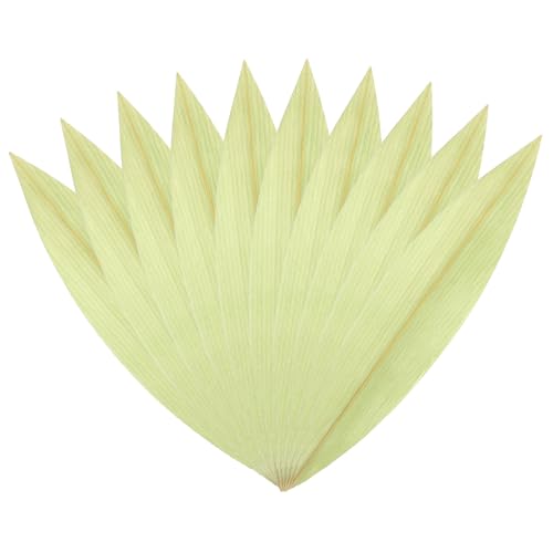 OHPHCALL 100������ ���i �|�t���� �h�g�M�p �����I�ȗt �a���f�R���[�V���� �H��⃌�X�g�������o��