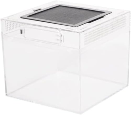 ঒��ރP�[�W ����e��A�g�J�Q �P�[�W�A20cm/30cm/40cm/50cm�A঒��ރP�[�W �A�N���� ���� �ɐB�p�{�b�N�X �N���A?�p �����A���ɍœK �����ŃN���A �g�ݗ��Ă��ȒP�Ŏg���₷���A���F �ʋC�� �ςݏd�˂� ���甠�A�� �� �^ �A���̑��� 