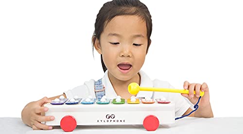 Fisher Price Classics | Pull-a-Tune Xylophone| Learn to Walk with Interactive Toy Features, Classic Musical Toy Suitable for Boys and Girls Ages 12 Months+ | Basic Fun 1702