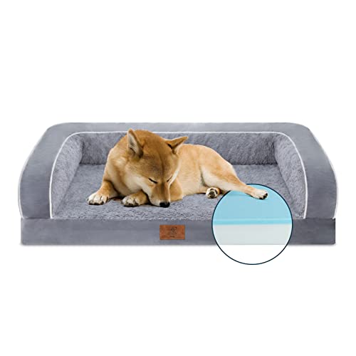 Top 10 Best Cool Beds For Dogs Reviews & Buying Guide Katynel
