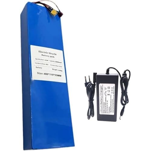 Batterie lithium-ion 48V 20Ah idéale pour prolonger vos balades en vélo électrique