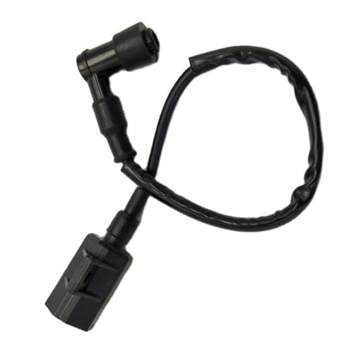 Bobina de encendido para moto LT80 B220 ATV, pieza de encendido para cuatriciclo