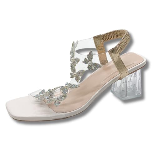 [ALVEIN] fB[X NAq[ T_ St Xgbv `L[q[  o^tC ANZg l  r ~[ Lo 킢 NAT_ ₷ s  XPg (AvRbg, {̌C̃TCY