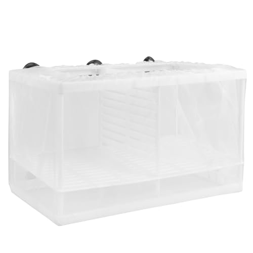 Kisangel  B p {bNX z t CLx[^[ b  S p