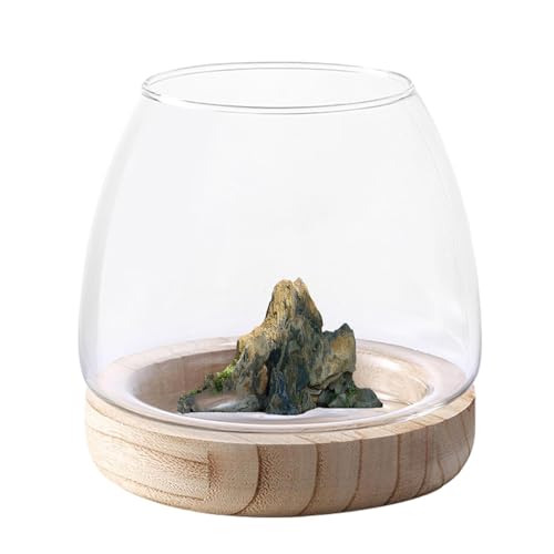Petit Aquarium avec Base en Bois, Vase Bocal À Poisson en Verre...