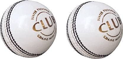 Labh Traders Cricket Leather Ball White (Pack of 2) in 2 Panel