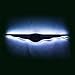 Oracle Lighting 3012-001 Illuminated Wing
