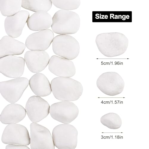 Image of 10Ib Snow White River Rock-Decorative Stones-Pebbles for Indoor Plants-Rocks for Outdoor Landscaping 1-2 inch High Polished Stones for Aquarium, Home Decor,Garden Decor