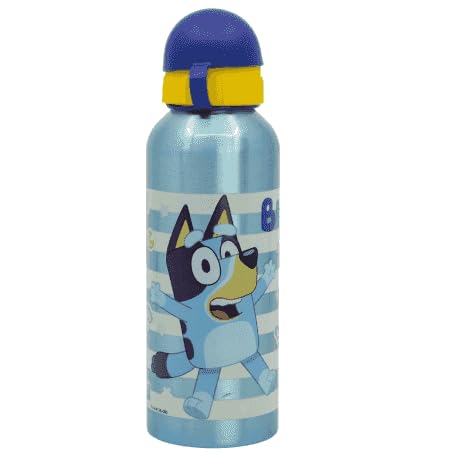 SRV Hub Aluminium Bluey Water Bottle 530ml Leakproof Blue Drink KBT Disney Bottle Running, Swimming, Cycling, Gym, Kids Lightweight, Reusable, BPA free | 21cm โ image 1