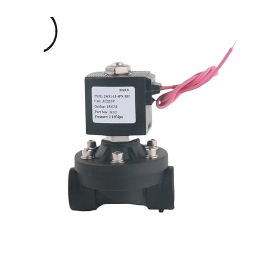 Solenoide 2WS1-15P AC220V para solucionar cortes de flujo en tubería DN15 3