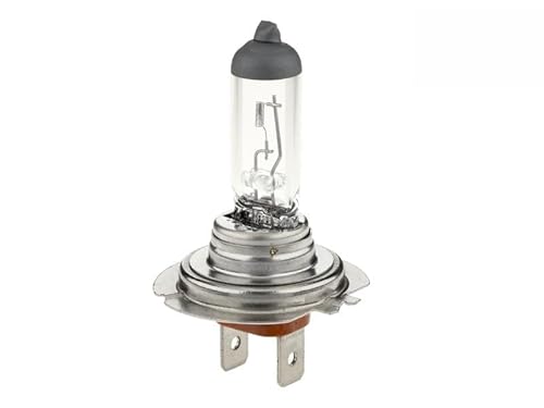 10 Stück H7 PX26d Auto PKW Birnen Lampen Leuchtmittel 55 Watt 12 Volt