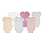 Lotus/Pink 6|pack
