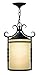 Hinkley Lighting 1142OL Olde Black 11.75x18.5 1-100w MED
