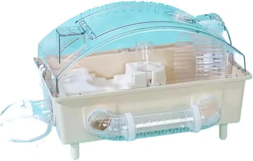 QueeningetnX^[P[WALXƂ邢nX^[̉ƁA傫ȕi̕ʑAׂĂ̋G߂ɕՓI (ItzCg)