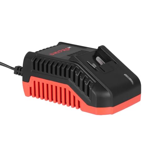 Cargador rápido 20V para no quedarte sin batería en tus herramientas Li-Ion DM20