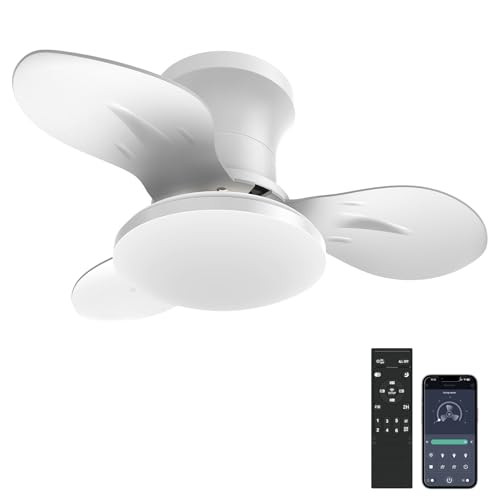 Aphyni 22inch Ceiling Fans with Lights, 6-Speed Reversible DC Motor,
