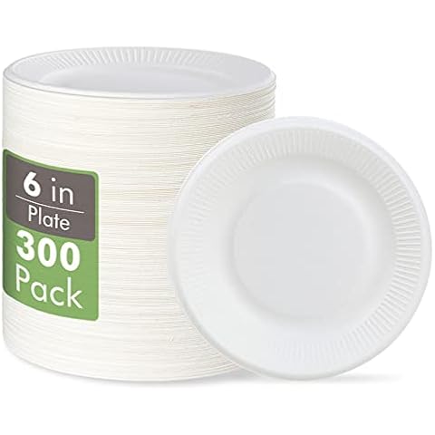 Vplus 100% Compostable Small Paper Plates, 300 Pack 6 Inch Disposable Paper Plates, Uncoated Biodegradable Plates Made of Sugar Cane Fibers, Perfect for Sandwich, Cake, and Snack Cover