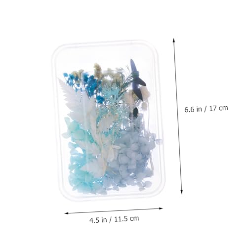 Kit DIY de flores secas prensadas para manualidades miniatura 2