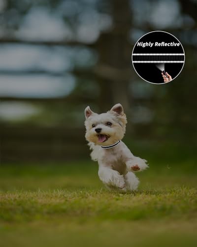 TagME Nylon Hundehalsband, Verstellbares Reflektierendes Hundehalsband mit Sicherheitsschnalle für Welpen, Schwarz, 1.0cm Breite