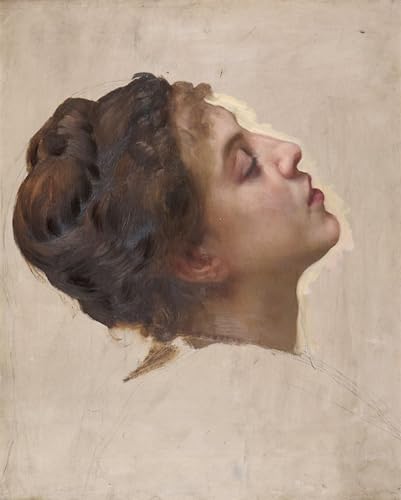 Image Sur Toile Portrait De Femme Bouguereau Affiche Décoration Murale Chambre 60x90