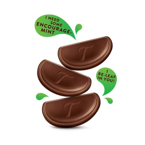 Terry's Chocolate Mint Flavour Milk Chocolate, 145g