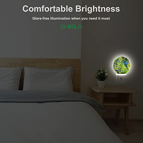 Image of EKOBLA Hummingbird Night Light, Spring Garden Bird and Flower Night Lights Plug Into Wall with Auto Sensor for Home Indoor Decor
