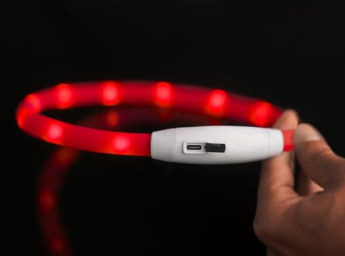 PRECORN 2 Stück LED Silikon Hundehalsband Leuchtend | Rot und Blau | Sicherheits-Halsband Hund | Hunde Leuchthalsband Set aufladbar USB-C | Individuell kürzbar