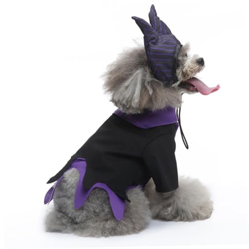 Disfraz de Bruja para Perro Tamaño S miniatura 7