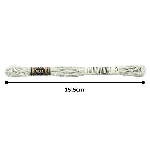 Image of DMC 6-Strand Embroidery Cotton Floss, Very Light Fern Green