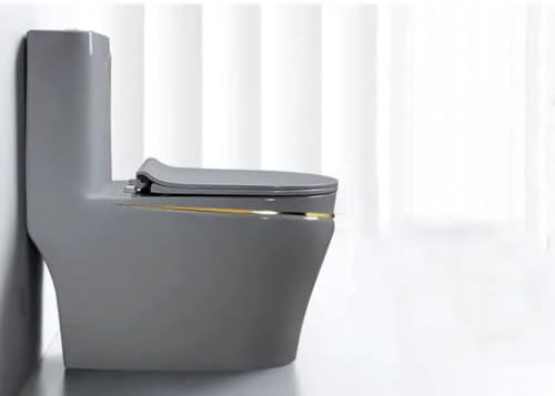 Image of B Backline Ceramic P Trap Commode | One Piece Floor Mount Western Toilet Commode /European Commode /Water Closet For Bathroom P trap Outlet From Wall - (Grey Glossy)