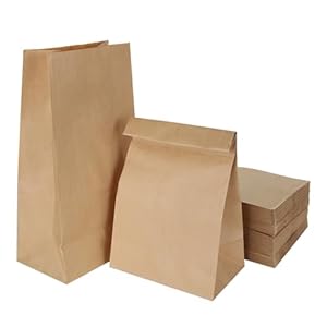 LOLYSIC 100 Stück braune Papiertüten