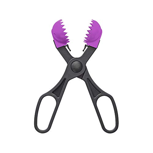 La Croquetera Colore Viola Multiuso con 4 stampi