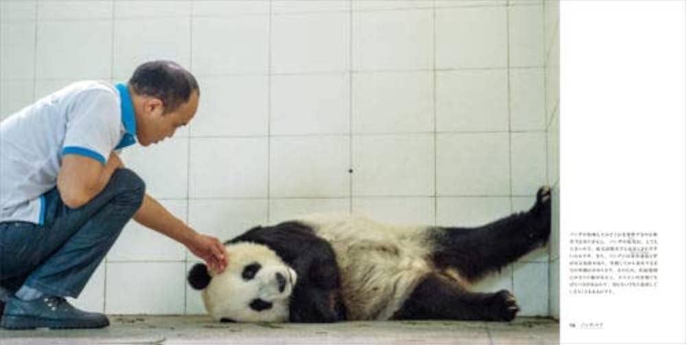 パンダLOVE！ 71bKj8jbmIL._AC_UF894,