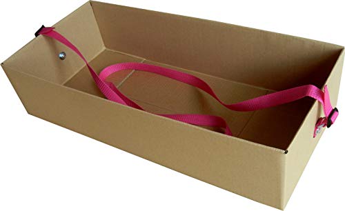 Autofahnenparadies Bauchladen JGA Junggesellenabschied Promotion Party 2 Pink