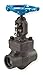 Globe Valve,1 Inch Inch,Steel,Socket,1975 Psi