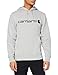Produktbild Carhartt Herren Force Delmont Graphic Hooded Sweatshirt, Asphalt Heather, M EU