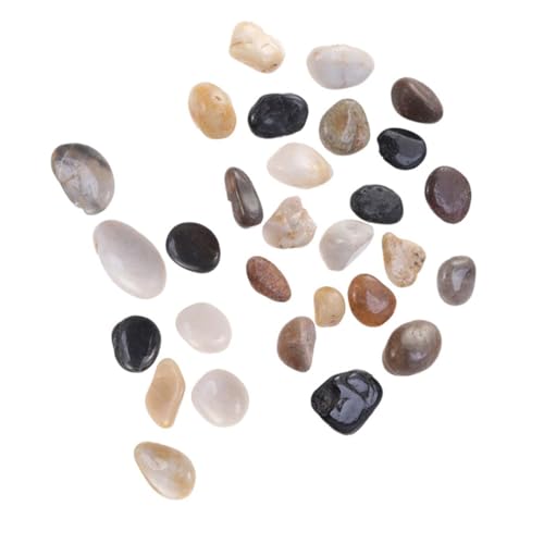 HOUDERCO ���R�Ȑ����p���� �K�[�f���i�ϗp���� �����d�グ�̃I�[�i�����g