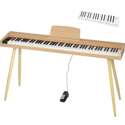 TORTE ge dqsAm ؖڒ XfUC 88 TDP-SP03WL/BEG x[W [X^hEʗEy_EdA_v^[E戵ENX]