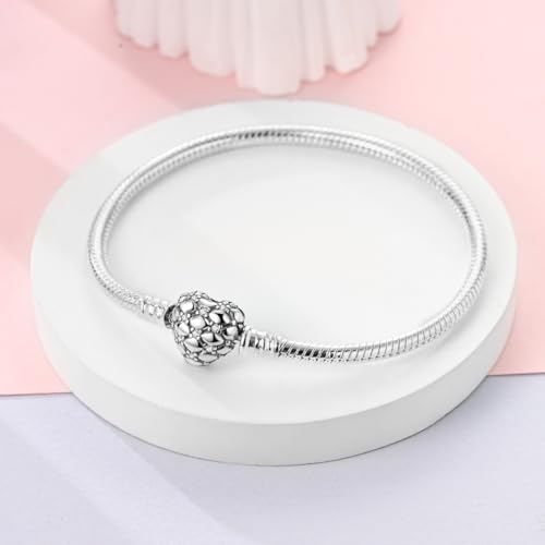 925 Sterling Silver Charms Bracelet for Women Love Heart Summer Ocean Iconic Moments Snake Chain Bracelet with Charm 5A Cubic Zirconia for Mother Daughter2