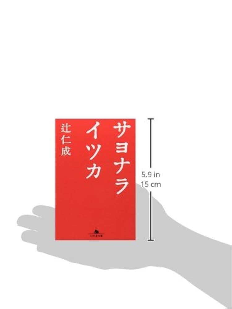 サヨナライツカ　DVD 小説セット vt049308.jpg