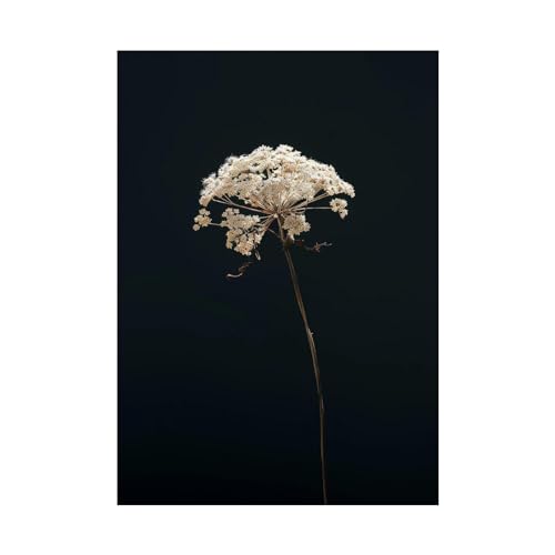 Toile plante 70x100cm pour un salon moderne au style scandinave