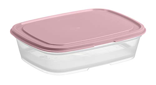 GASTROMAX - Lunch Box ou boîte de Conservation/Rangement du frigo - Plastique à Usage Alimentaire - Hermétique - avec Couvercle - Rectangulaire - 0,5 l - Transparent/Rose Cover