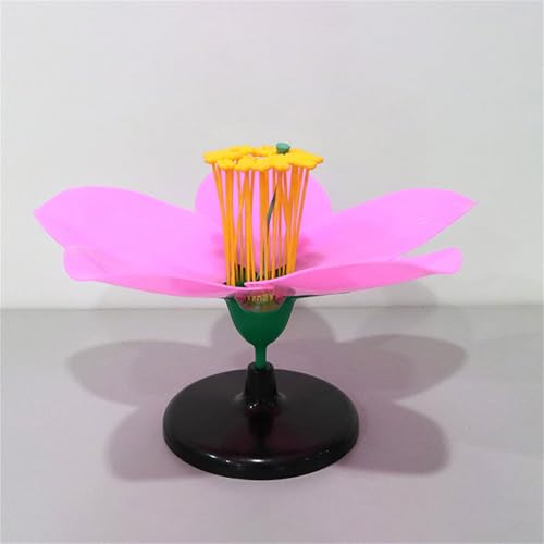 Modèle fleur de pêche échantillon plantes pour enseignement - 6