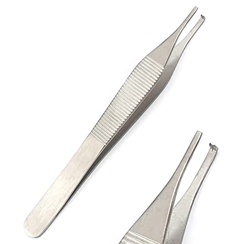 AA PRO ADSON 12CM Serrated TIP 1X2 Rat Tooth KOCHER TWEEZER Dressing FORCEP PLIER Instruments A+ Quality Silver