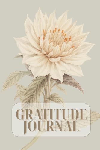 The Power of Gratitude