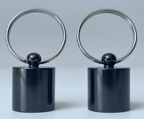 Petsafe Lot de 2 clés magnétiques pour collier Staywell, entrée sélective, pratique, alternative à la puce Microchip. Série 400 et 900